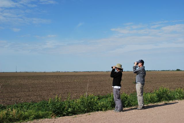 Two people look out over a field through their binoculars.